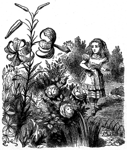 "Alice in the Garden of Live Flowers" Courtesy of oldbookart.com